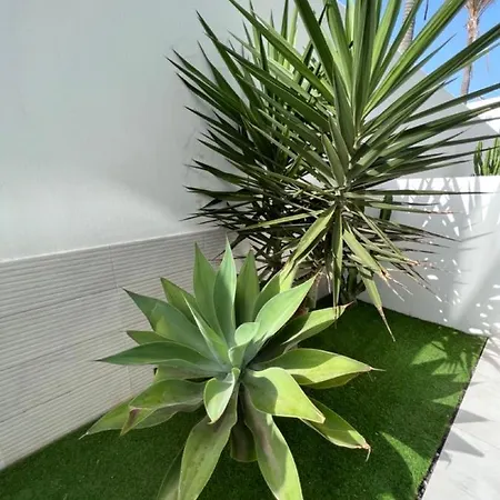 Apartment Bristol Terrace Con Giardino Privato Esterno Corralejo