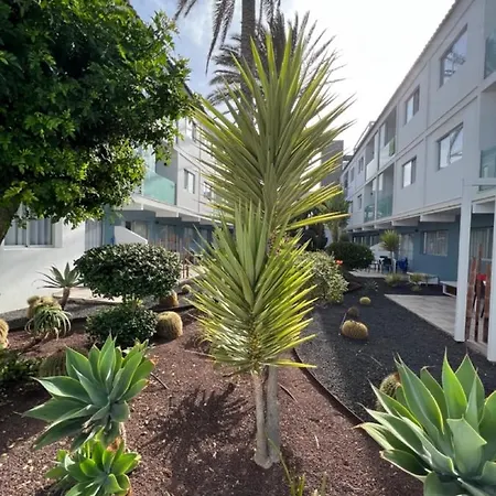 Bristol Terrace Con Giardino Privato Esterno Apartment Corralejo