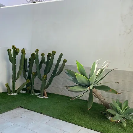 Appartamento Bristol Terrace Con Giardino Privato Esterno Corralejo