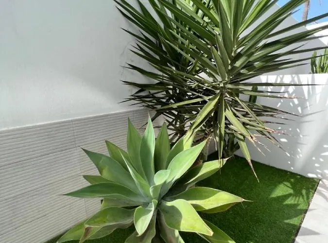 Apartamento Bristol Terrace Con Giardino Privato Esterno Corralejo