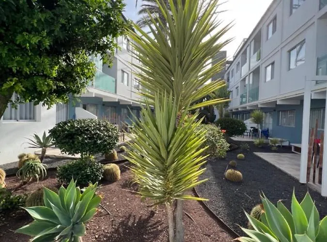 Bristol Terrace Con Giardino Privato Esterno Apartamento Corralejo